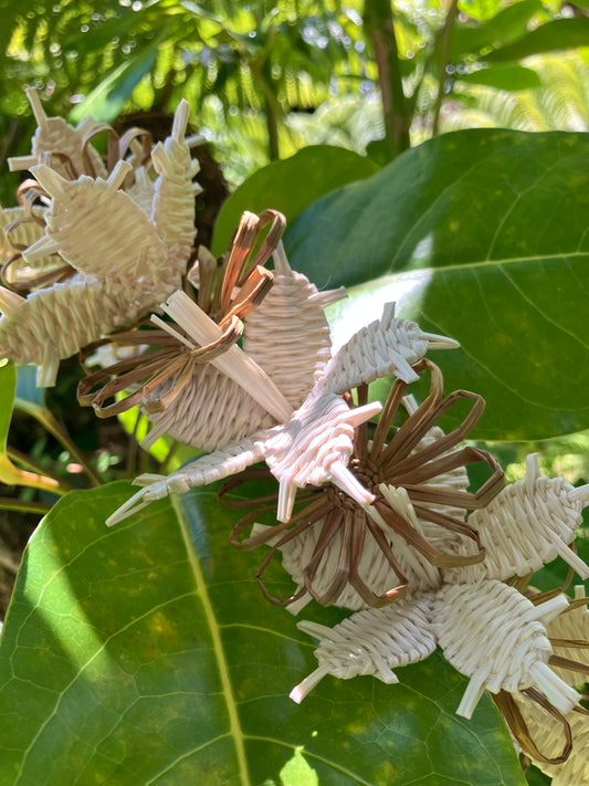 Forever Lei Poʻo -Brown