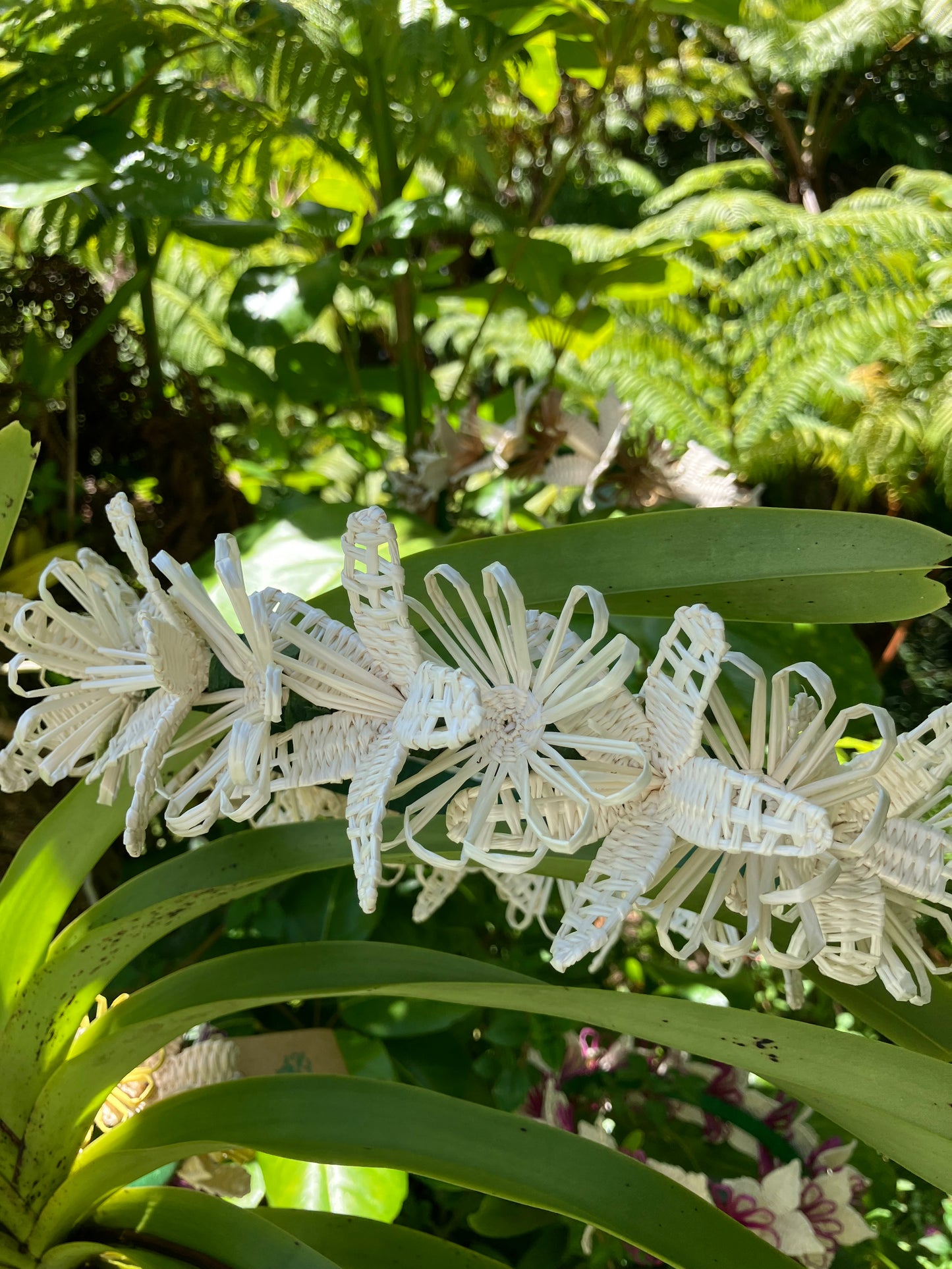 Forever Lei Poʻo - White Petals