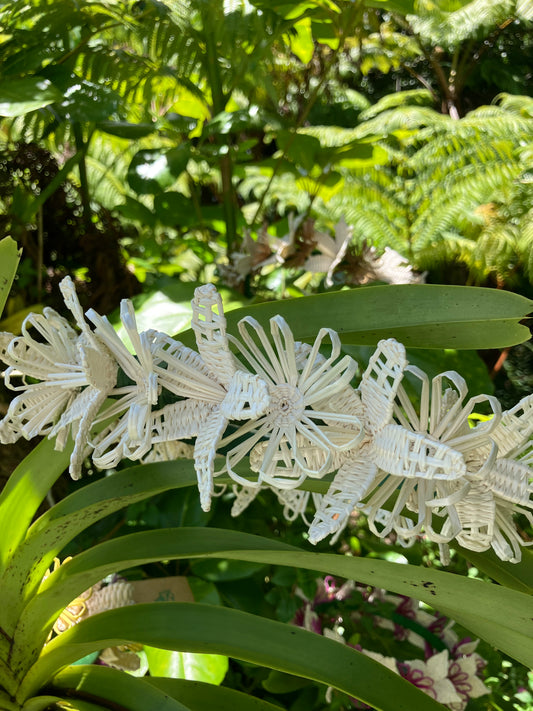 Forever Lei Poʻo - White Petals