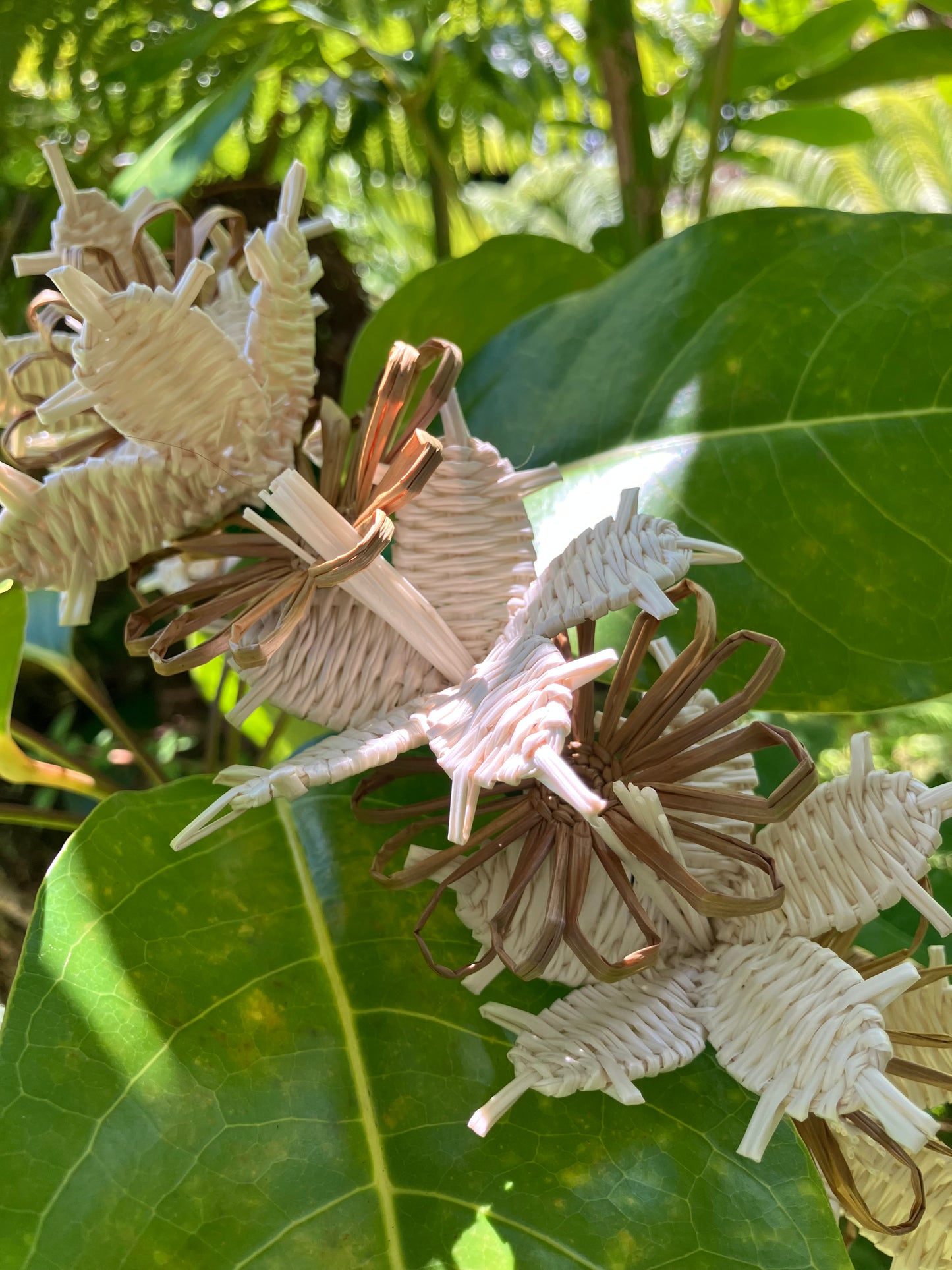 Forever Lei Poʻo -Brown
