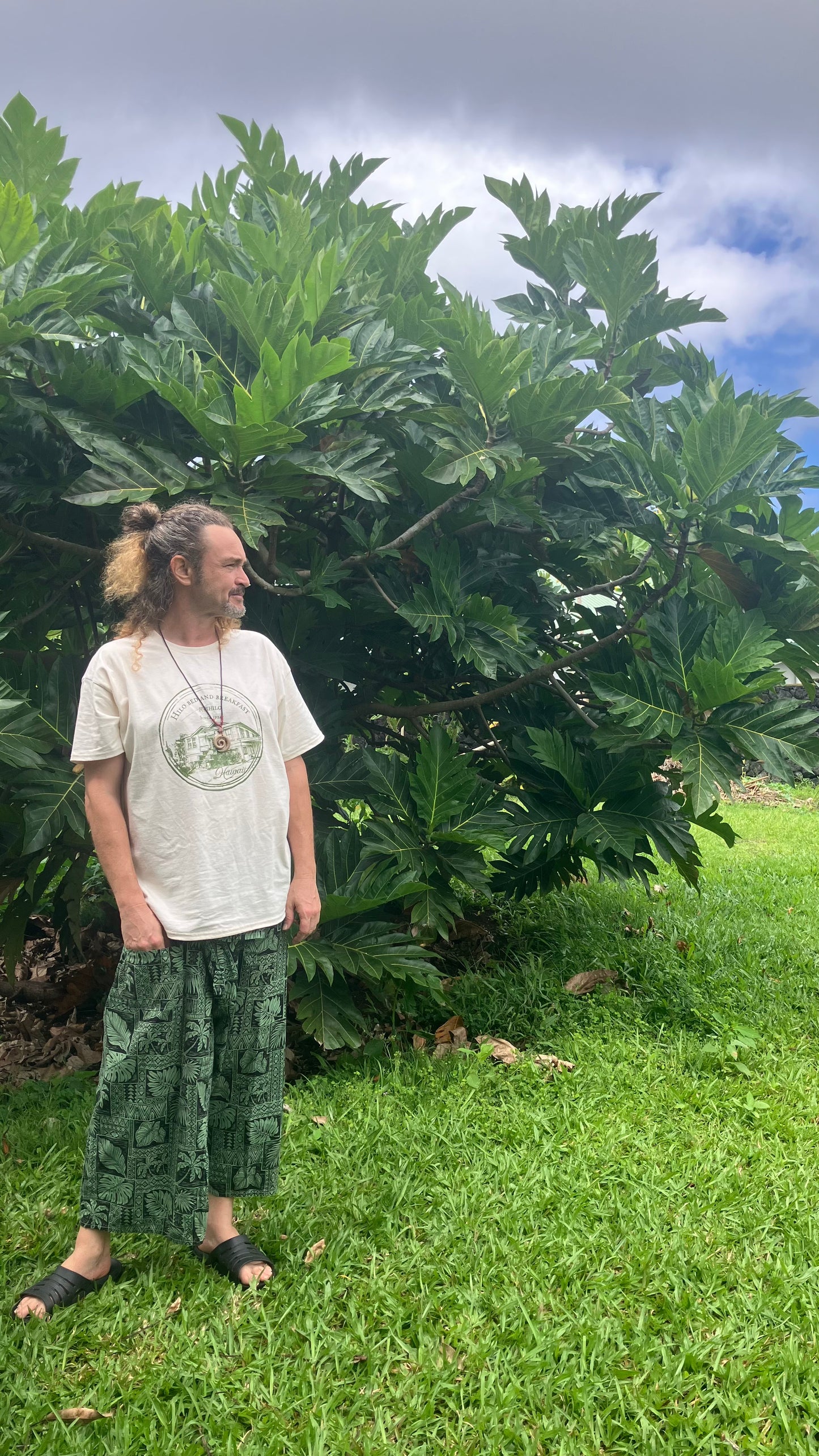 Hilo Bed & Breakfast (Minshuku Hilo) Tee
