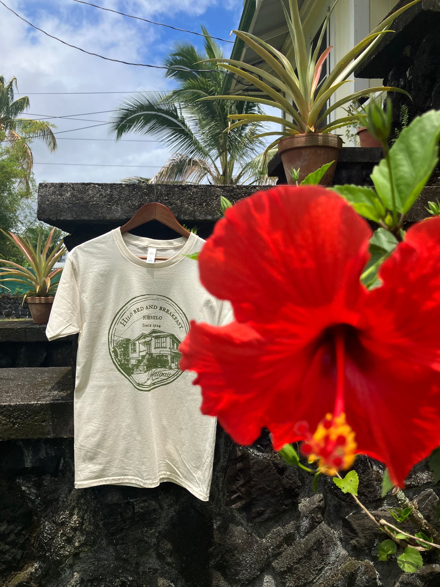 Hilo Bed & Breakfast (Minshuku Hilo) Tee