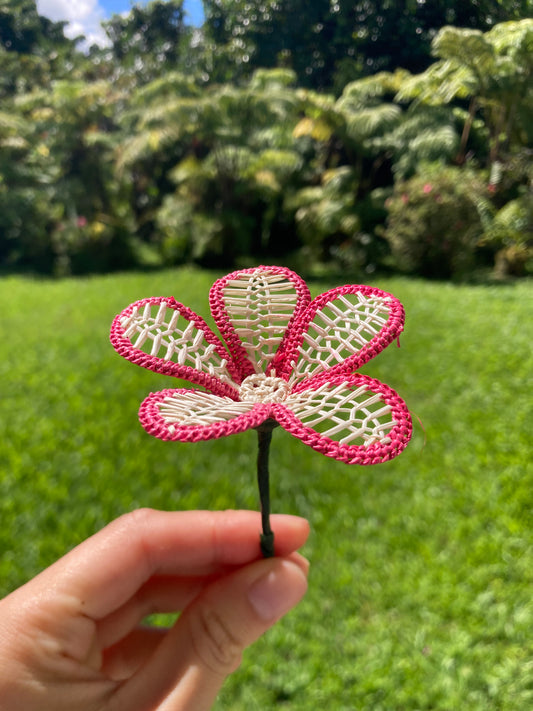 Everlasting Hair Flower  (pink & white/round)