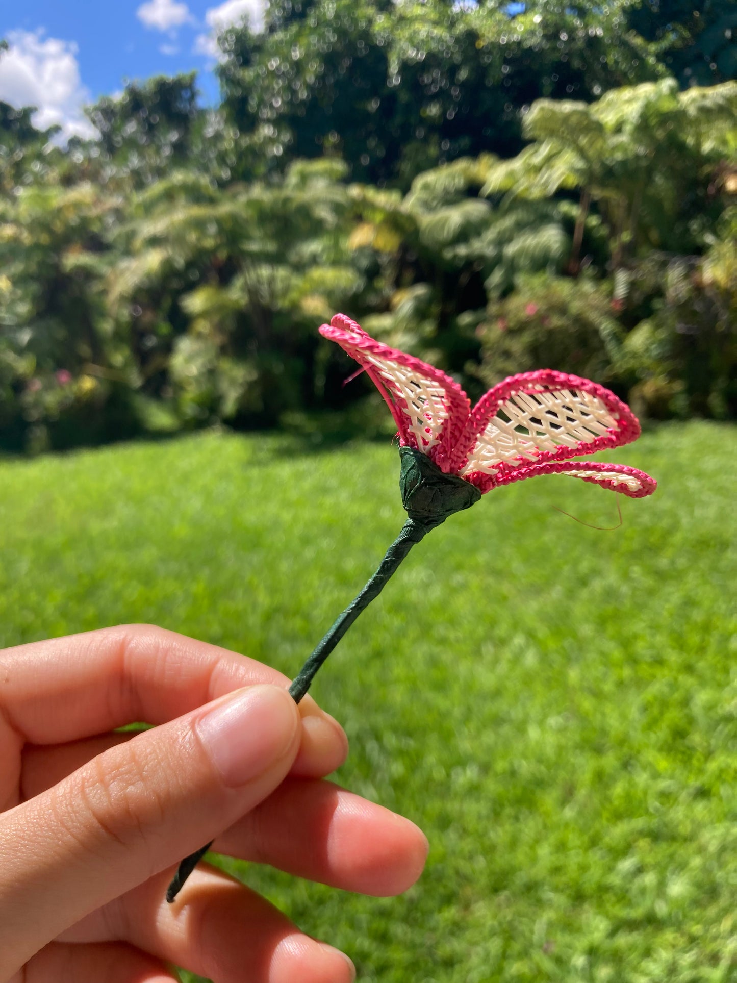 Everlasting Hair Flower  (pink & white/round)