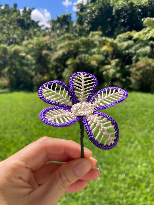 Everlasting Hair Flower  (purple & white)