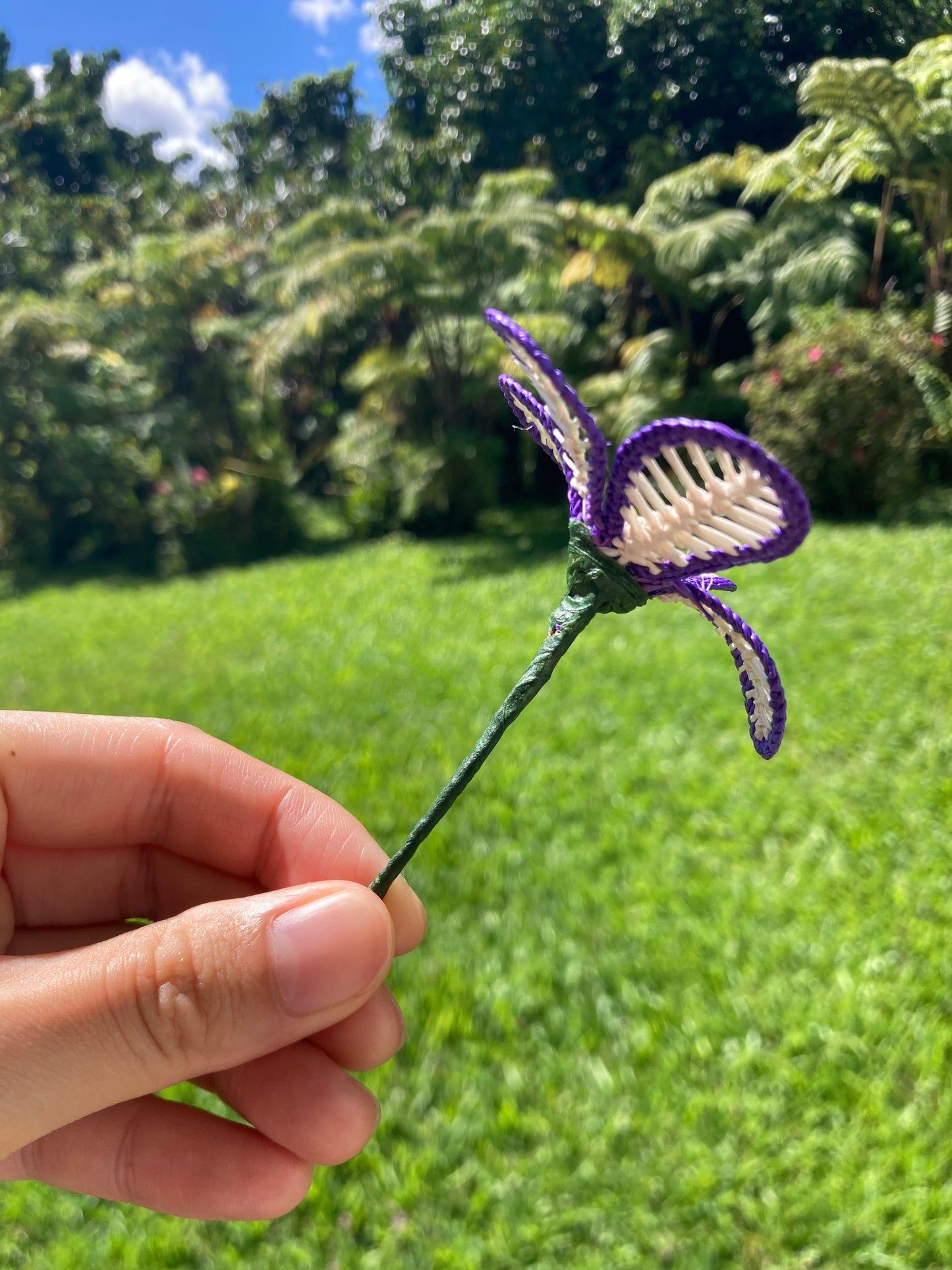 Everlasting Hair Flower  (purple & white)