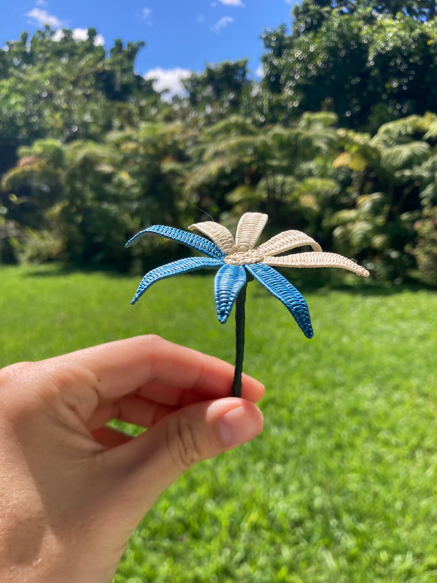 Everlasting Hair Flower  (white & blue/thin)