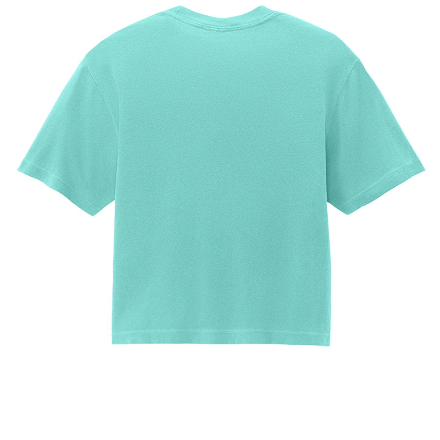 Chalky Mint - 3023CL - BACK