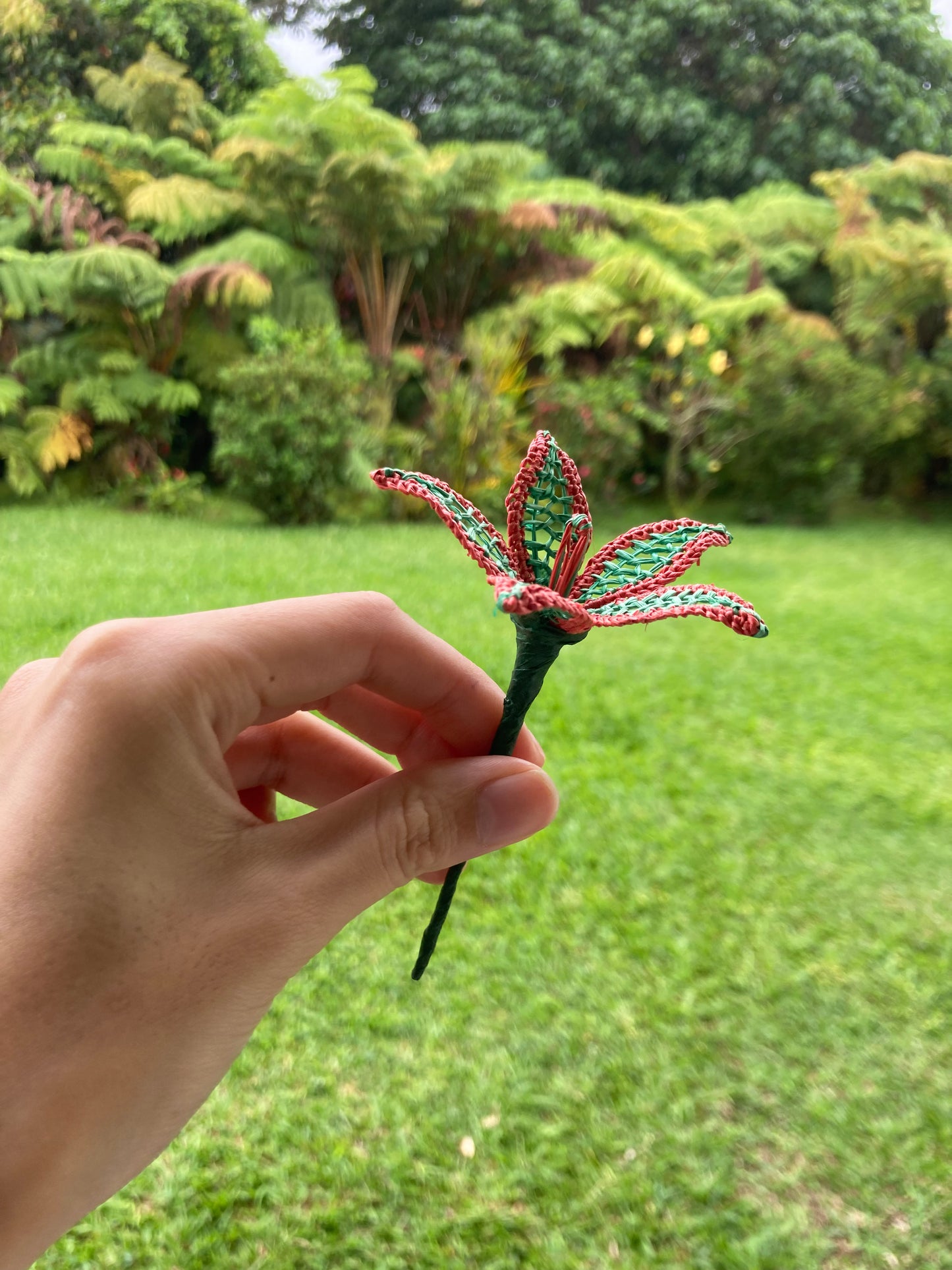 Everlasting Hair Flower  (Green/Red)  -Small